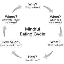 mindful eating cycle